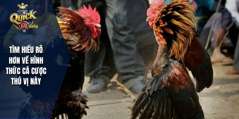 Tìm hiểu rõ hơn về hình thức cá cược thú vị này 