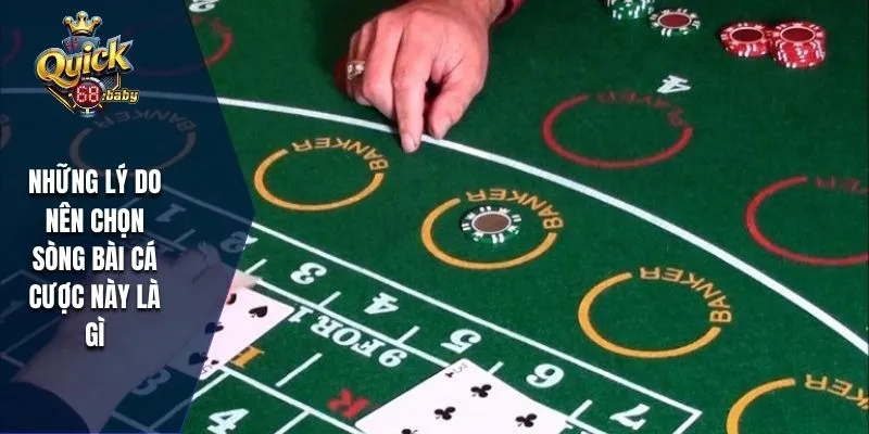 Những lý do nên chọn sòng bài cá cược này là gì