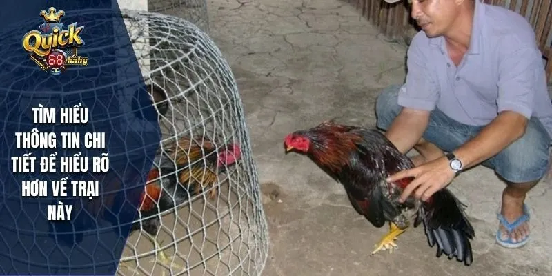 Tìm hiểu thông tin chi tiết để hiểu rõ hơn về trại này